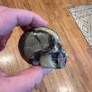 Septarian “Dragon Stone” Carved Skull